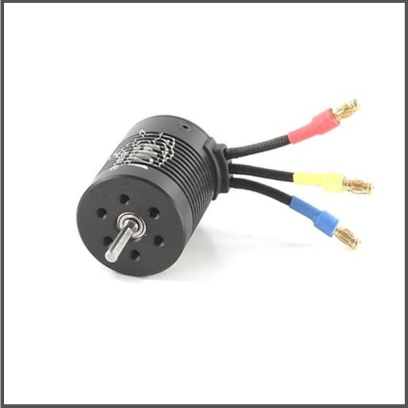 4850kv brushless motor (L6149)