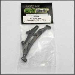 DAMPER LOWERED MOUNT KIT - PRO 5 (2 PCS) (ORI533)