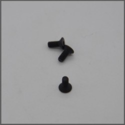 Screws 2.5x8 crown 2° 2017 (MZ971)