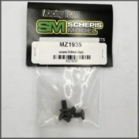 Screws 5x9mm 4pz (MZ1935)