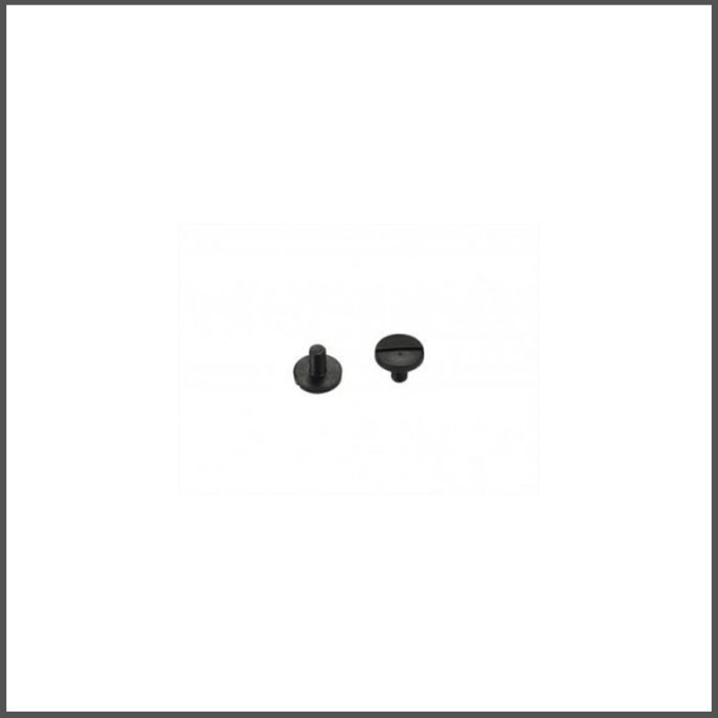 Bodymount rr 2.0 screw (2) (SER903719)