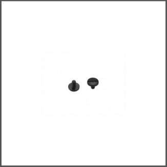 Bodymount rr 2.0 screw (2) (SER903719)