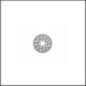 Brake disk steel S989  (SER903750)
