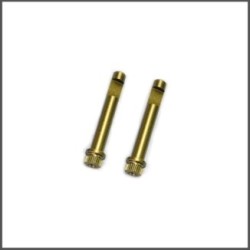 Brake excenter SRX8 GT (2) (SER601005)