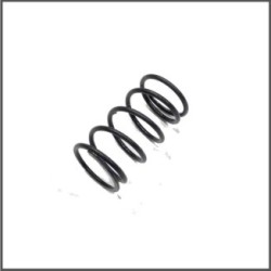 Center spring 12lbs S120L (SER411214)