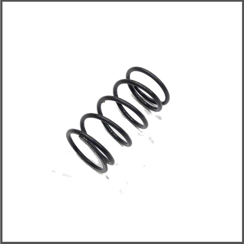 Center spring 12lbs s120l (SER411214)