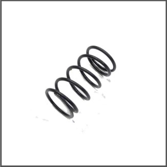 Center spring 12lbs S120L (SER411214)
