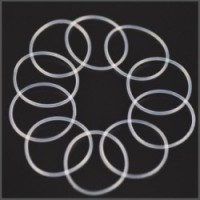 Diffcase O-ring EP (10) (SER804200)