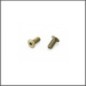 Downstop screw FR (2) S988 (SER903681)