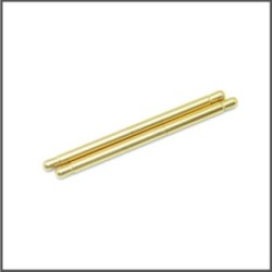 Hingepin FR / RR TiN coated (2) (SER600490) (SER600490)