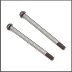 Hingepin FR outer (2) SRX8 (SER600793)