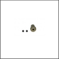 Pinion 19T 988E (SER904174) (SER904174)