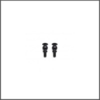 Pivotball with shaft 6mm (2) (SER903837)