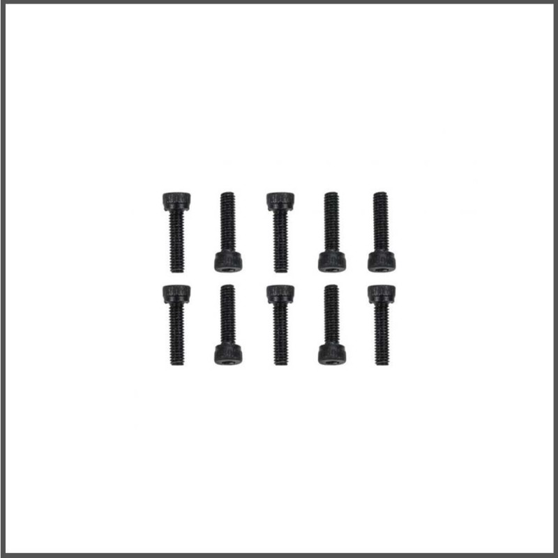 Screw allen cilinderhead M2.5x10 (10) (SER110228)