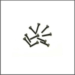 Screw allen cilinderhead M2x10 (10) (SER110188)
