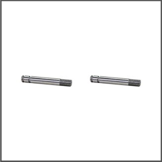 Shock shaft (2) X20 (SER401836)