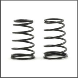 Side spring 4.5lbs S120L (2) (SER411208)