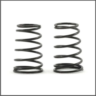 Side spring 4.5lbs S120L (2) (SER411208)