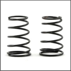 Side spring 5.0lbs S120L (2) (SER411209)