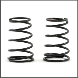 Side spring 5.0lbs S120L (2) (SER411209)