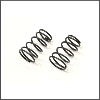 Side spring 5.5lbs S120L (2) (SER411210)