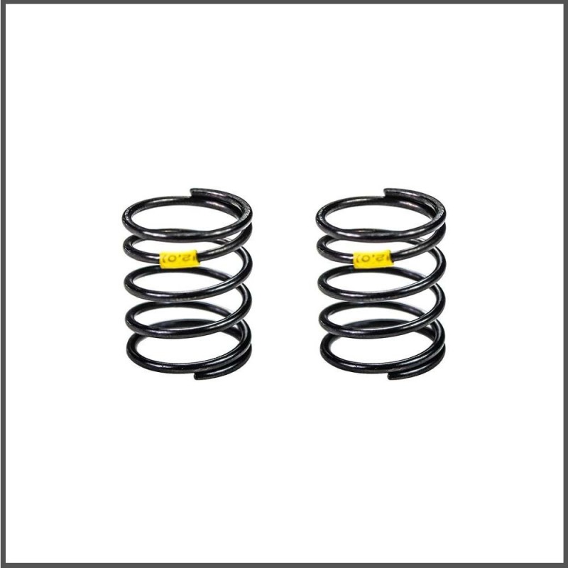 Spring fr/rr 2,6 (2) (SER401853)
