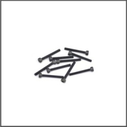 Screw allen cilinderhead M3x25 (10) (SER110194)