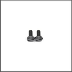 Screw M6x12 nylon black  (2) (SER110150)