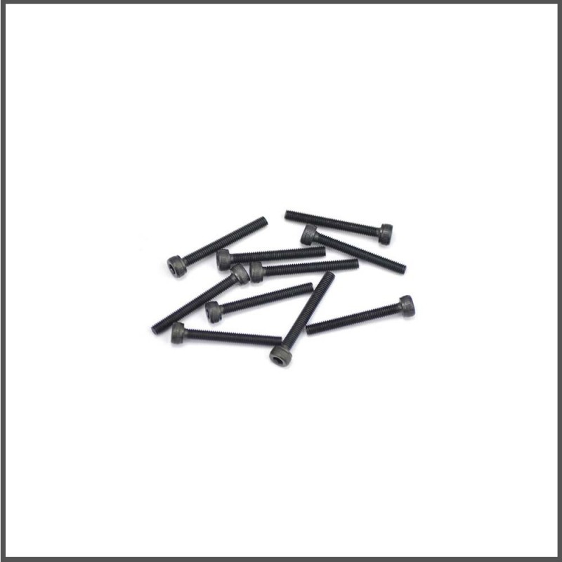 Screw allen cilinderhead m3x25 (10) (SER110194)