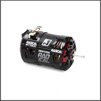 P1 Radical 540 Stock Motor 21.5T (PA9332)