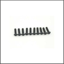 Screw allen roundhead M2.5x8 (10) (SER110179)