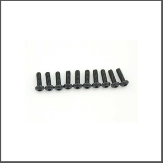 Screw allen roundhead M2.5x8 (10) (SER110179)