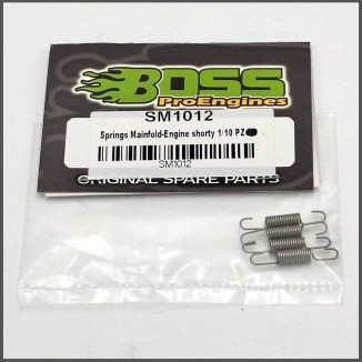 SPRINGS MANIFOLD-ENGINE SHORTY 1/10 (SM1012)