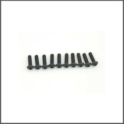 Screw allen roundhead M2.5x8 (10) (SER110179)
