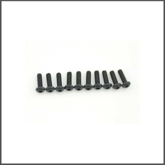 Screw allen roundhead M2.5x8 (10) (SER110179)