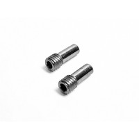 Fixing Pin (2 pcs) (X3GT-71)